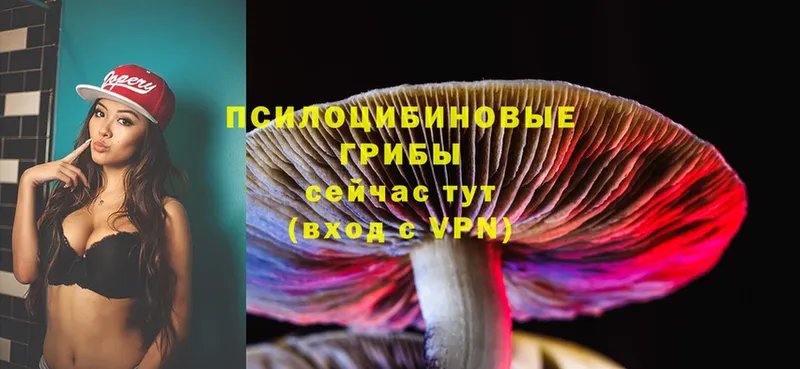 Галлюциногенные грибы MAGIC MUSHROOMS  Копейск 